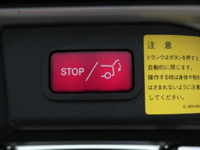 23168428_carP_l_18.jpg