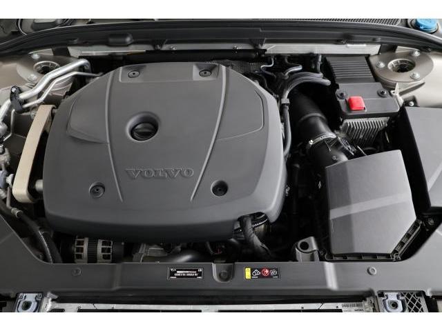 22588484_carP_l_17.jpg