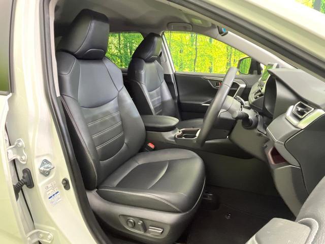 22720292_carP_l_19.jpg