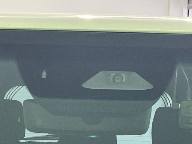 21853763_carP_l_4.jpg