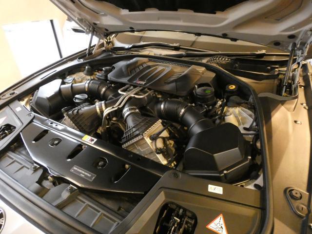 22975137_carP_l_20.jpg