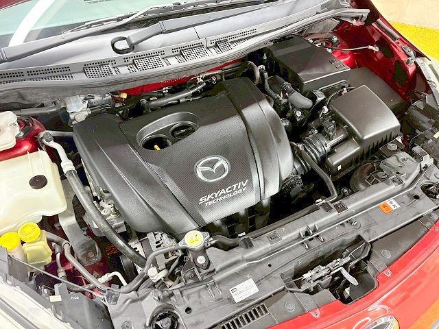 0560069A20260213W00208.jpg
