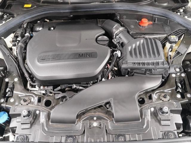 19879534_carP_l_14.jpg