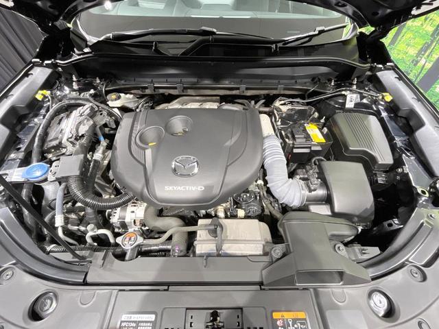 21637750_carP_l_16.jpg