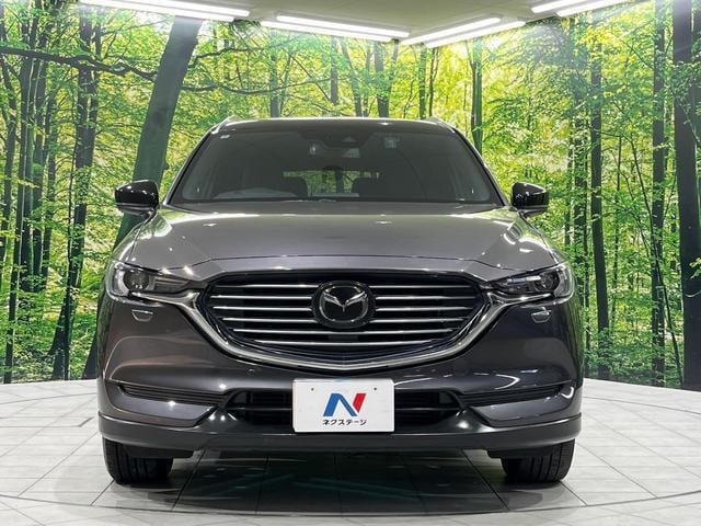 19629113_carP_l_11.jpg