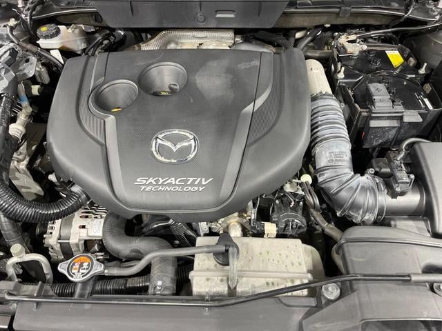19629113_carP_l_20.jpg
