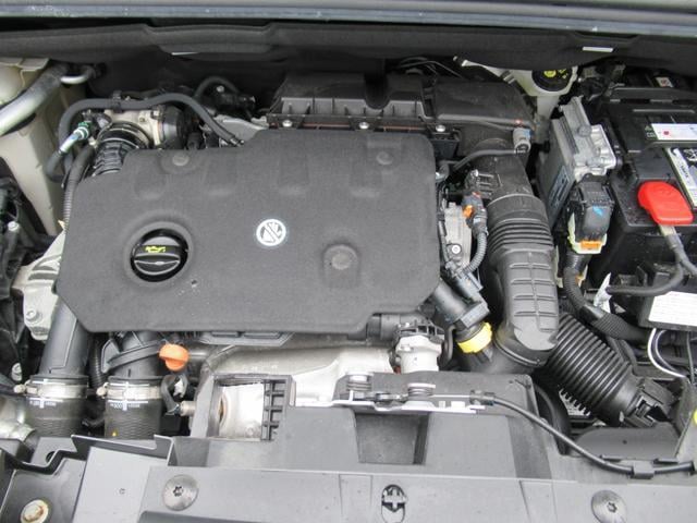16839925_carP_l_12.jpg