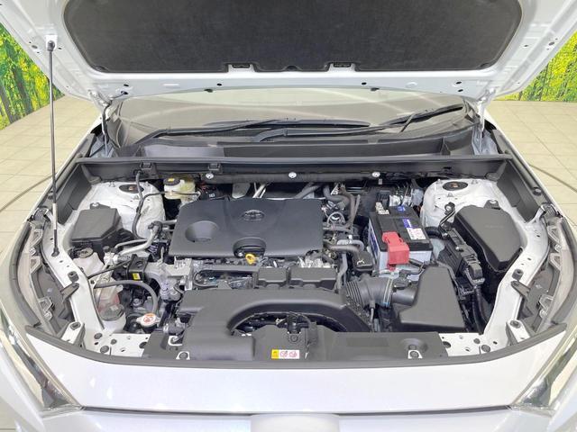 21909829_carP_l_12.jpg