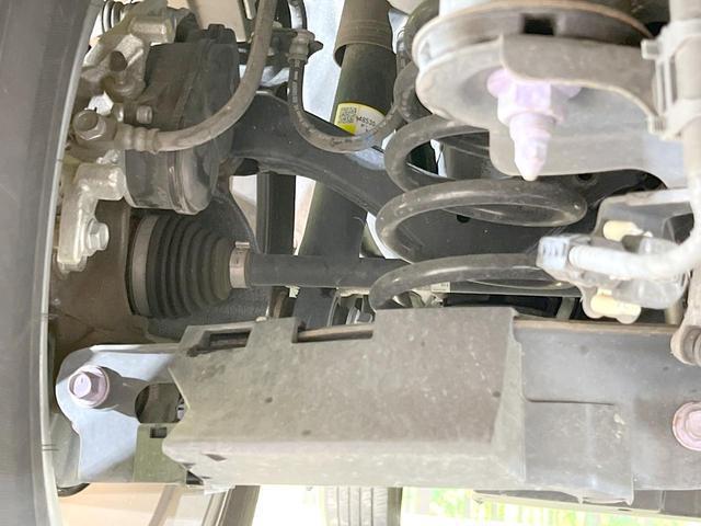 21909829_carP_l_18.jpg