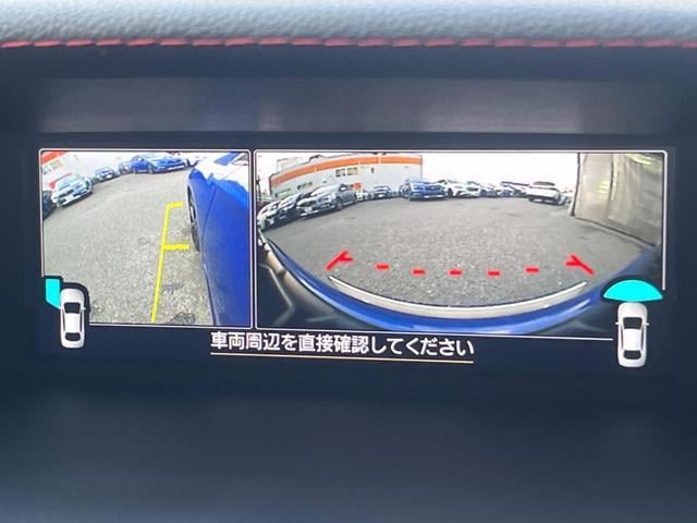 19124720_carP_l_4.jpg