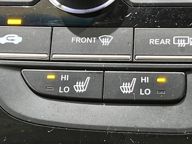 21254230_carP_l_10.jpg