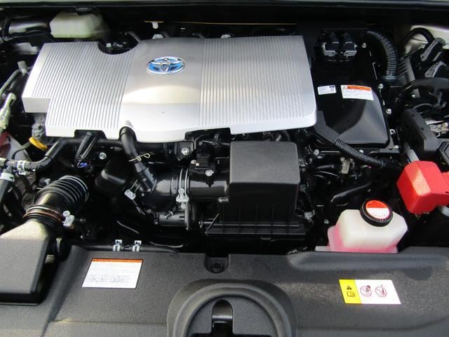 0403558A30250304W00217.jpg