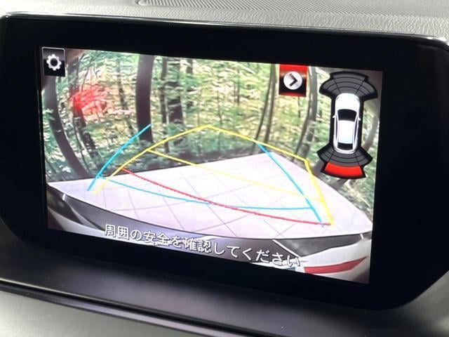 20193606_carP_l_10.jpg