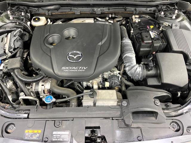 20193606_carP_l_18.jpg