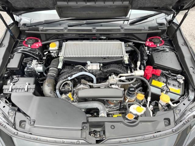 18638773_carP_l_16.jpg