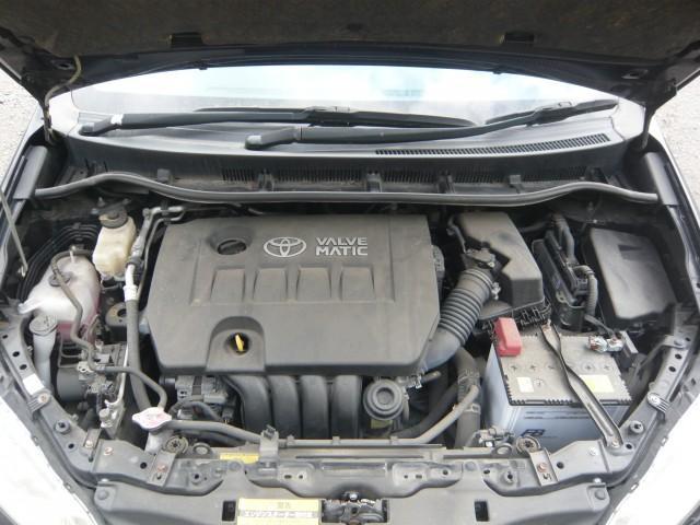 22169427_carP_l_17.jpg