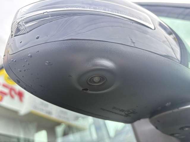 22428148_carP_l_17.jpg