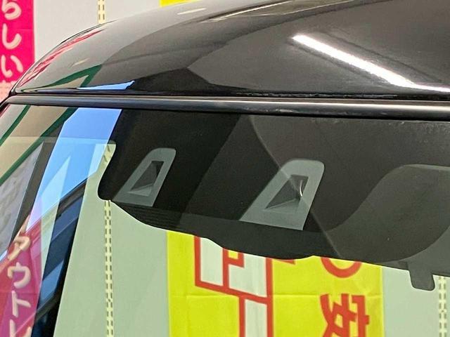 0303903A30260225W01912.jpg