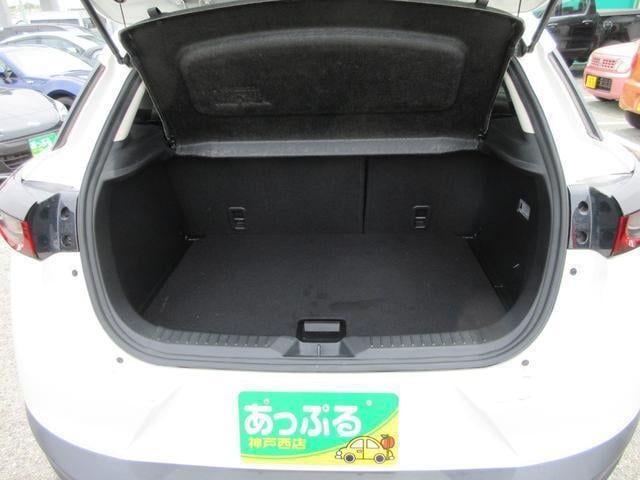 17732112_carP_l_16.jpg
