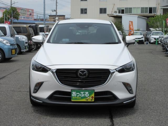 17732112_carP_l_3.jpg