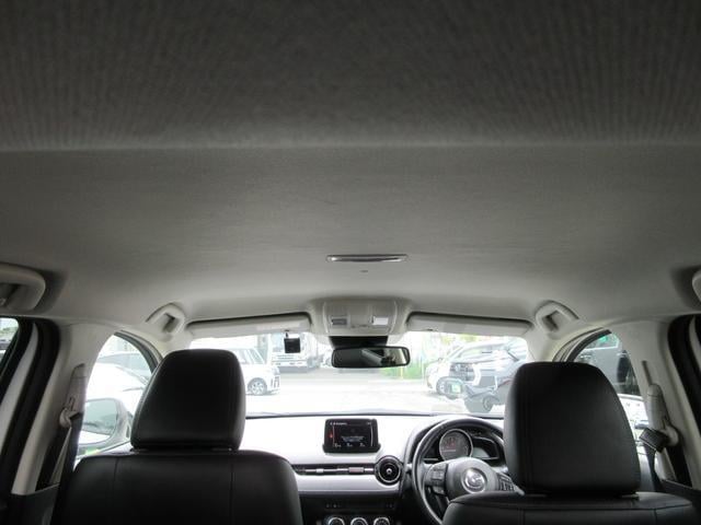 17732112_carP_l_8.jpg