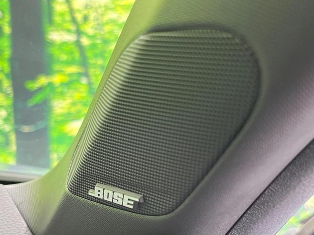 20193536_carP_l_10.jpg