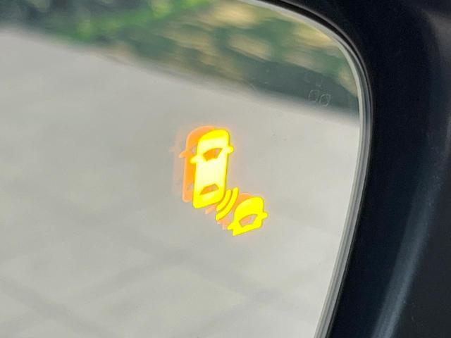 20193536_carP_l_14.jpg
