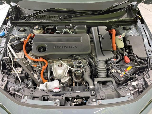 20193536_carP_l_16.jpg