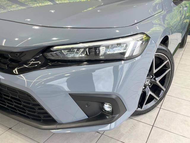 20193536_carP_l_6.jpg