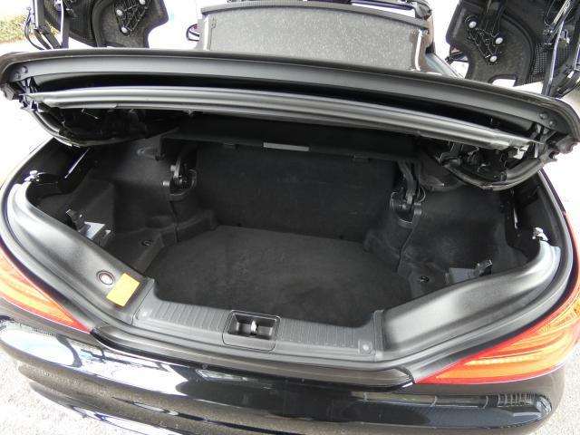 22738862_carP_l_18.jpg