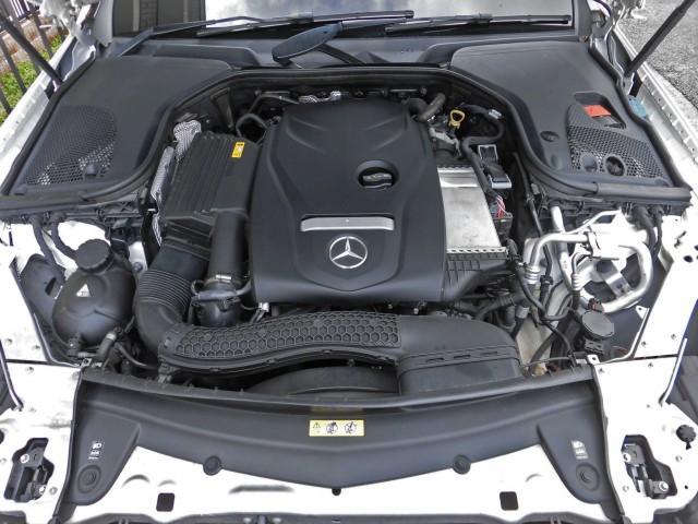 22284807_carP_l_17.jpg