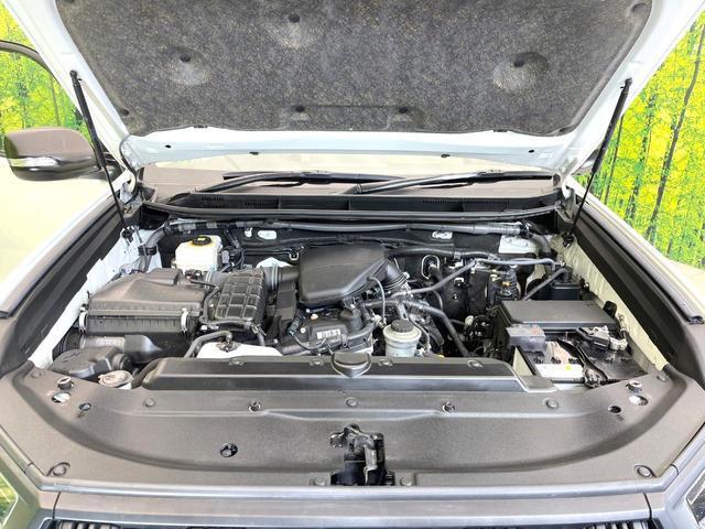 22600110_carP_l_16.jpg