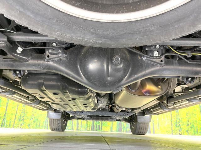 22600110_carP_l_18.jpg