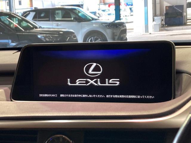21514855_carP_l_4.jpg