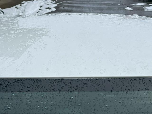 1150133A30260122W00110.jpg