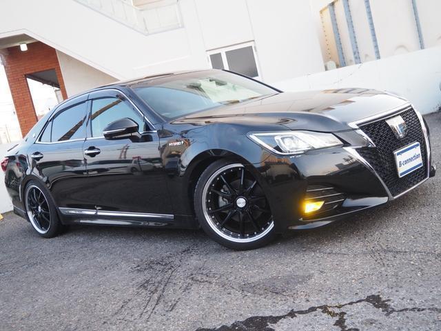 23143729_carP_l_15.jpg