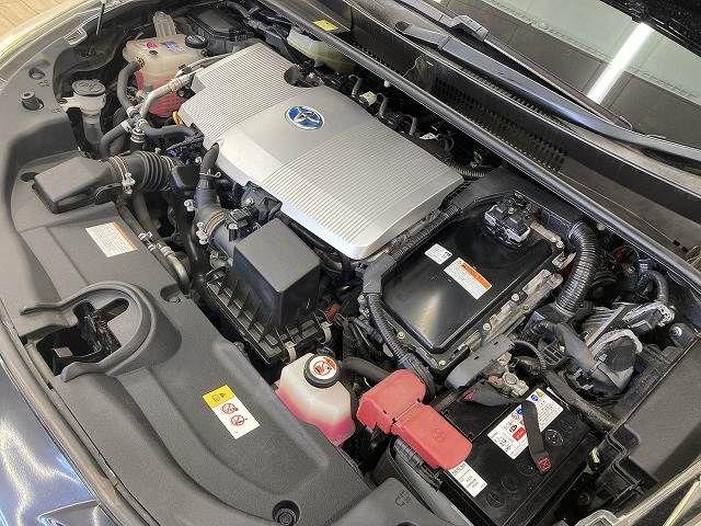 aef36171802d25502d8ddd8f3781302e.jpg