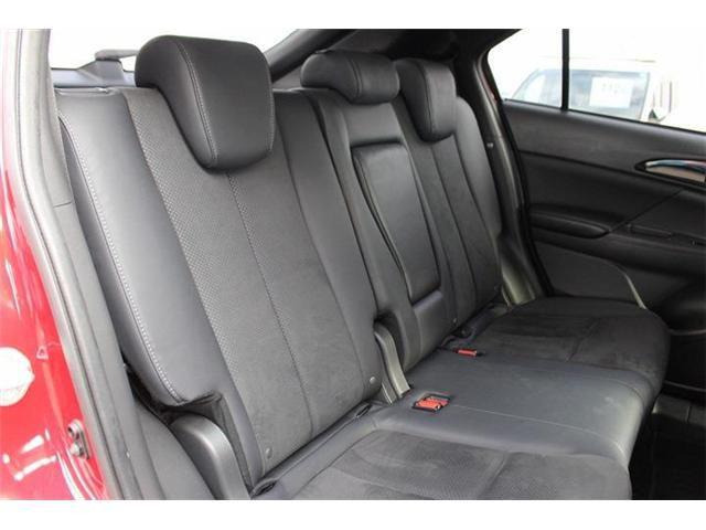 81f14dcc4ea87842be3ff7018fac4fc3.jpg