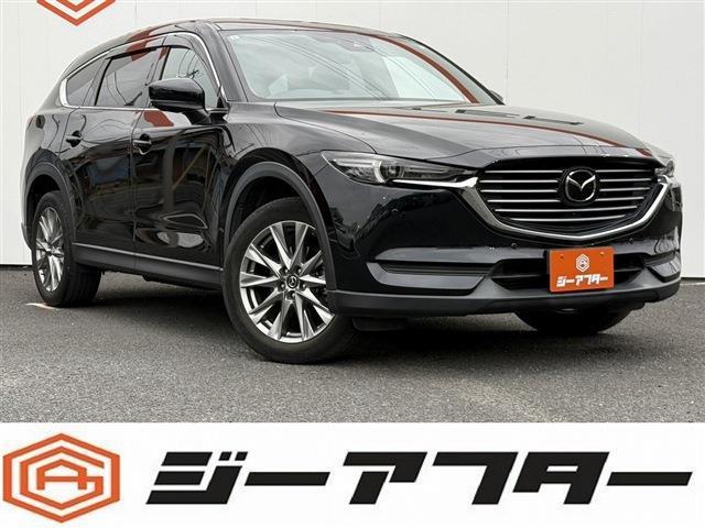 23257166_carP_l_1.jpg