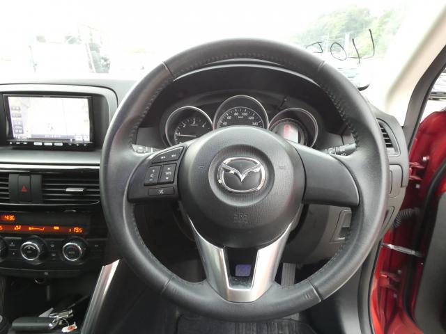 20118341_carP_l_18.jpg