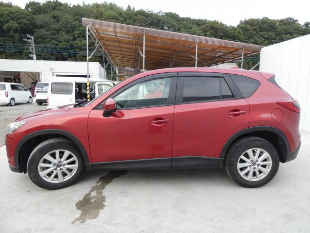 20118341_carP_l_6.jpg