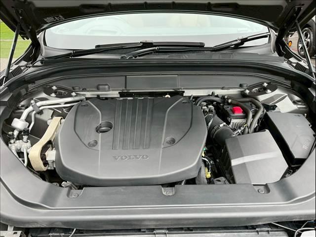 20256822_carP_l_6.jpg