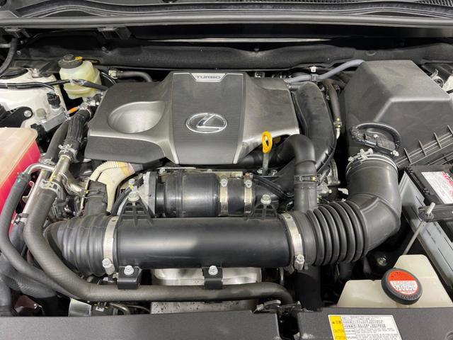 23034379_carP_l_16.jpg