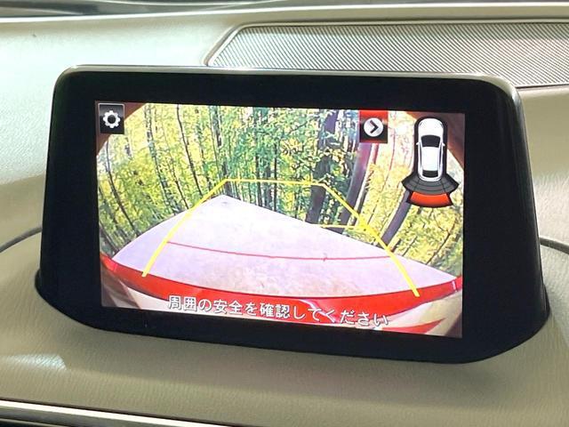 23168511_carP_l_4.jpg