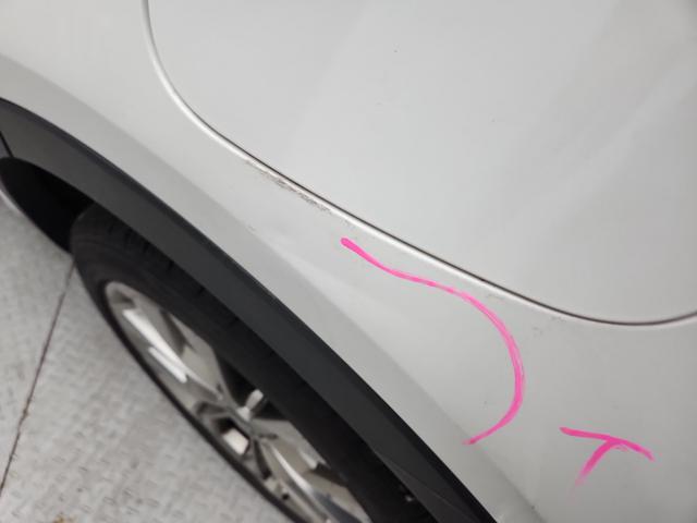 lotterental_223422704_G9LRJ_9.jpg