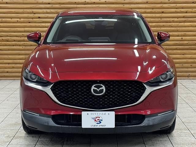 21319991_carP_l_12.jpg