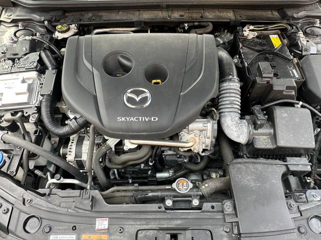 0507054A30260226W00118.jpg