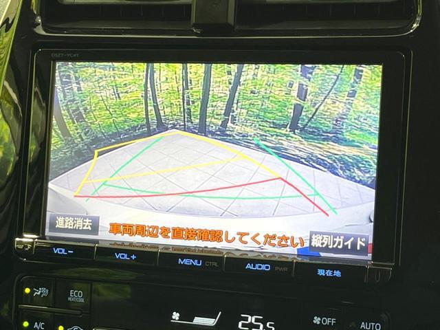23013789_carP_l_10.jpg