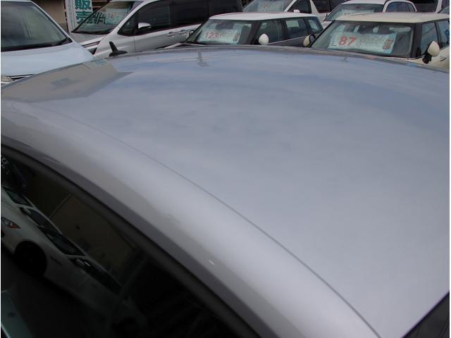 19818228_carP_l_5.jpg