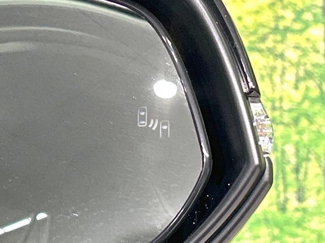 21515170_carP_l_10.jpg